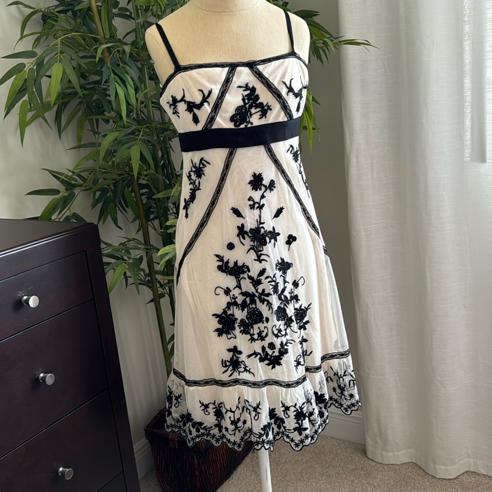 Gorgeous embroidered BCBG dress size small